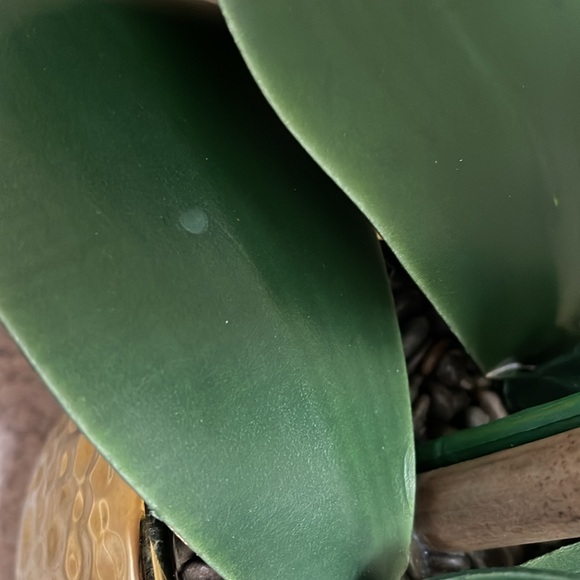 Floral Home Decor - Picture 8 of 10